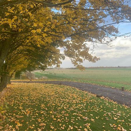 Oak Cottage At Gravel Farm Stretham المظهر الخارجي الصورة