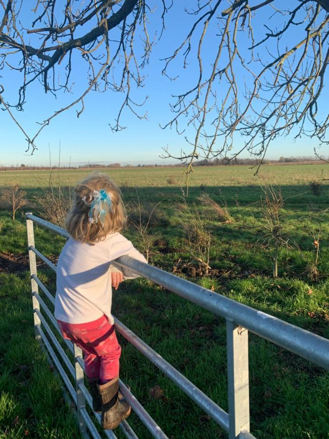 Oak Cottage At Gravel Farm Stretham المظهر الخارجي الصورة