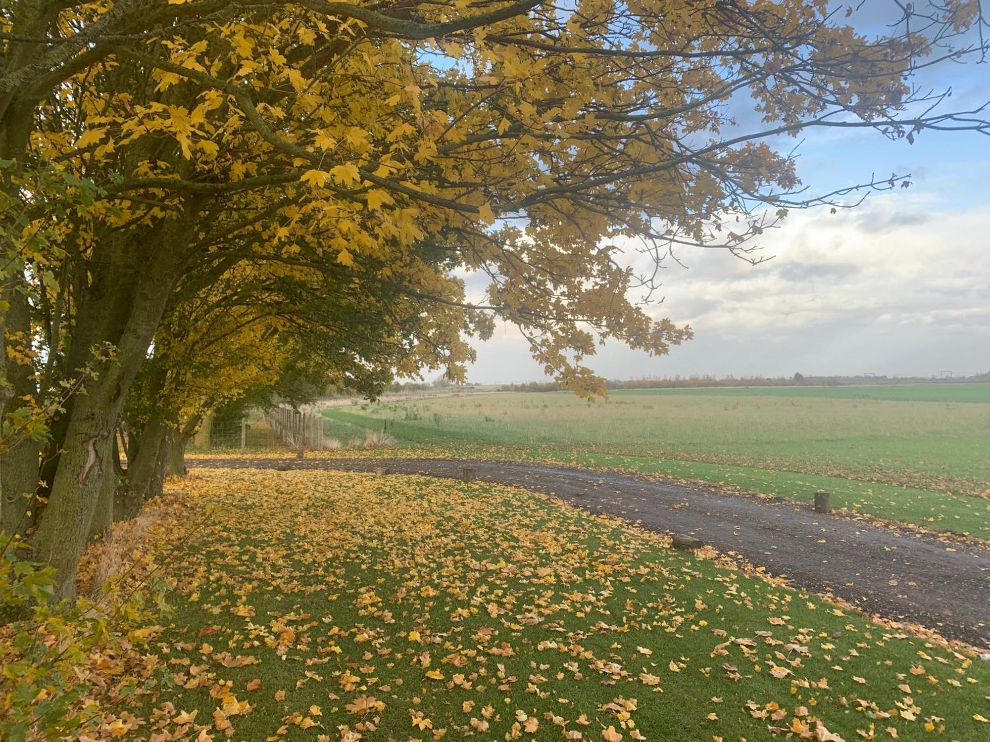 Oak Cottage At Gravel Farm Stretham المظهر الخارجي الصورة